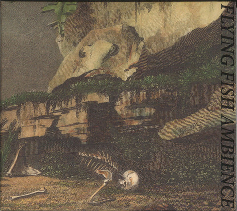 Rainforest Spiritual Enslavement – Flying Fish Ambience CD