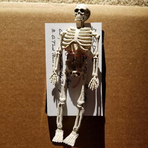 Dead Door Unit – Birth Of An Apex Predator CS