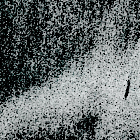 Scathing – Untitled CS
