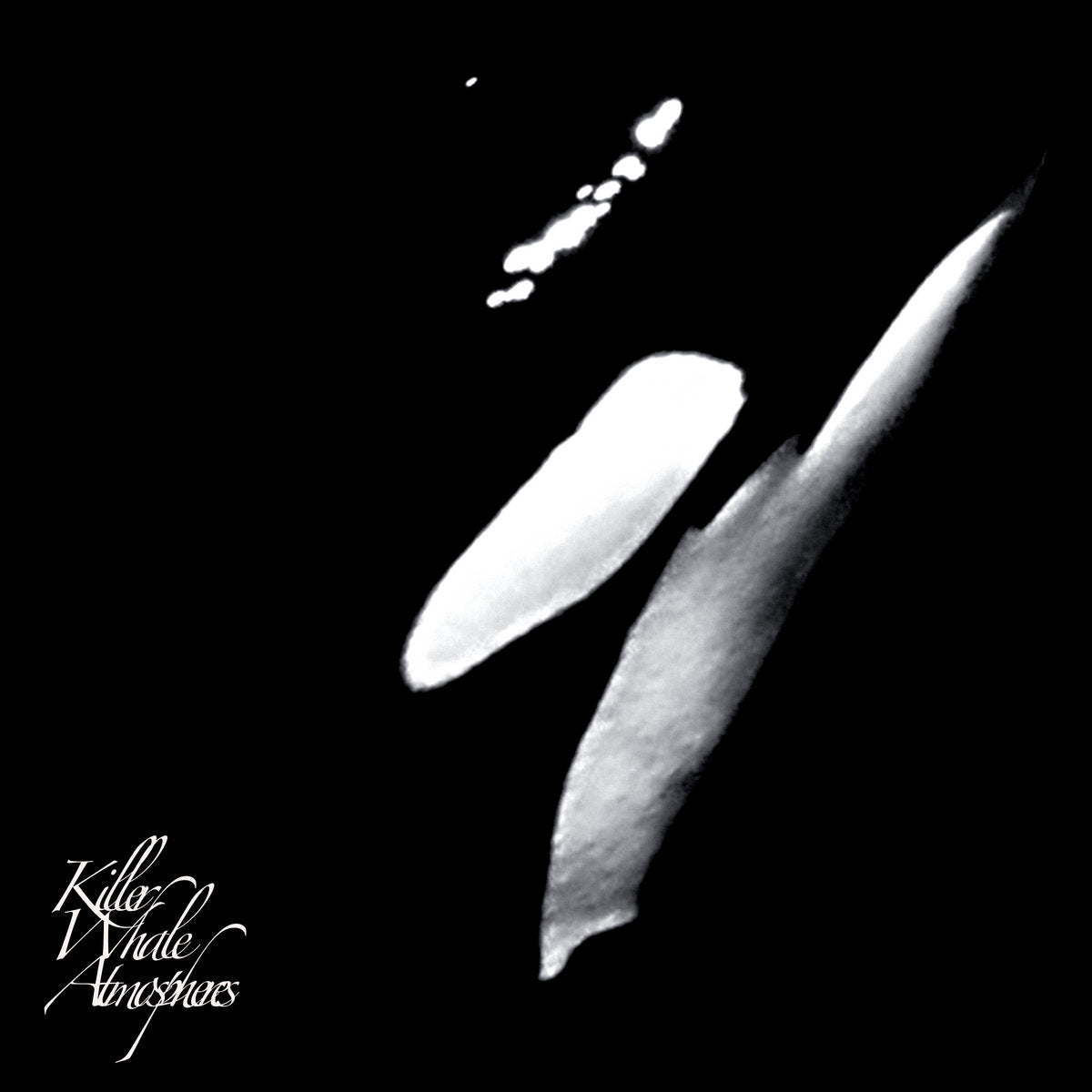 Rainforest Spiritual Enslavement - Killer Whale Atmospheres CS