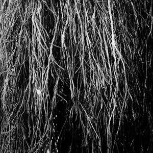 Merzbow, Iggor Cavalera, Eraldo Bernocchi - Nocturnal Rainforest LP