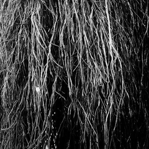 Merzbow, Iggor Cavalera, Eraldo Bernocchi - Nocturnal Rainforest LP