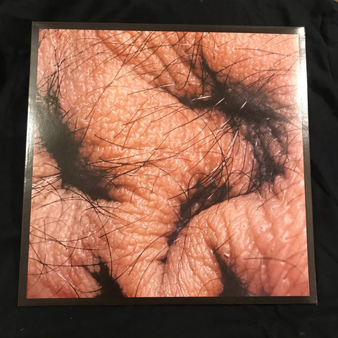 Runzelstirn & Gurgelstock, Rudolf Eb.er - Asshole / Snail Dilemma LP