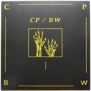 Corporate Park / Beau Wanzer - CP / BW LP
