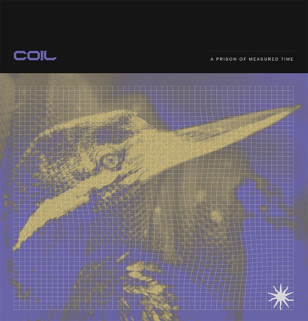 Coil ‎– A Prison Of Measured Time LP