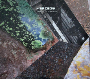 Merzbow - Flesh Metal Orgasm  CD