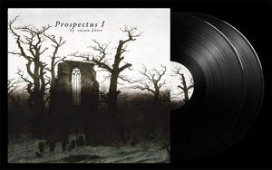 Raison D'Etre - Prospectus I 2LP