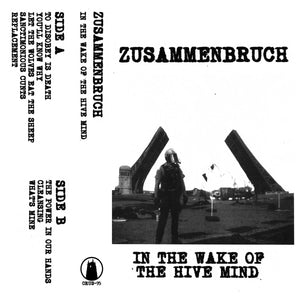 Zusammenbruch - In The Wake Of The Hive Mind CS