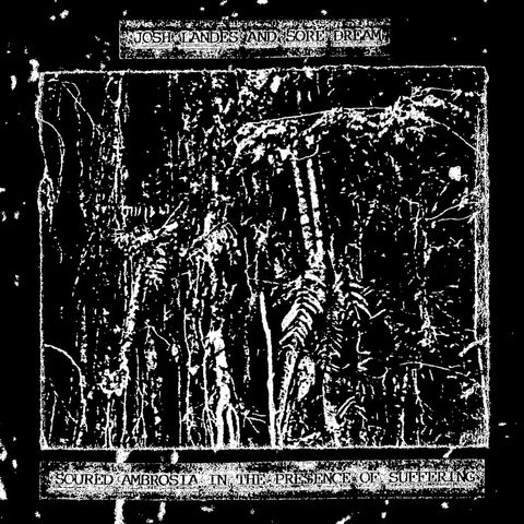 Josh Landes / Sore Dream - Soured Ambrosia In The Presence Of Suffering CD