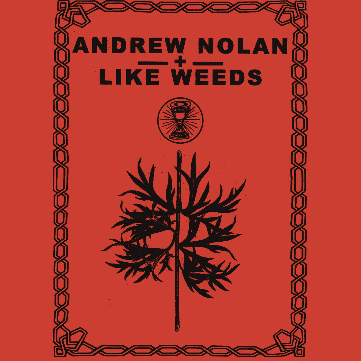 Andrew Nolan \ Like Weeds - Split CS