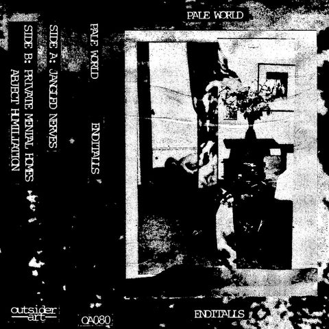Pale World - Enditalls CS