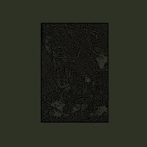 Evenings - Wormwood CD
