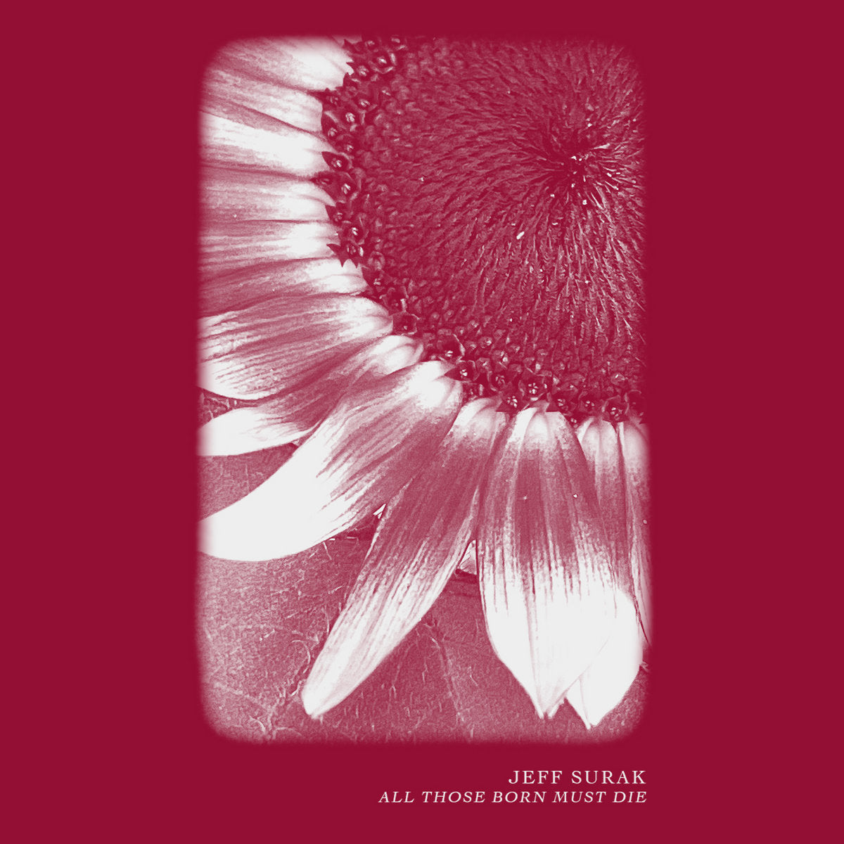 Jeff Surak - All Those Born Must Die CS