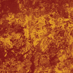 Scant - Estrangement CS