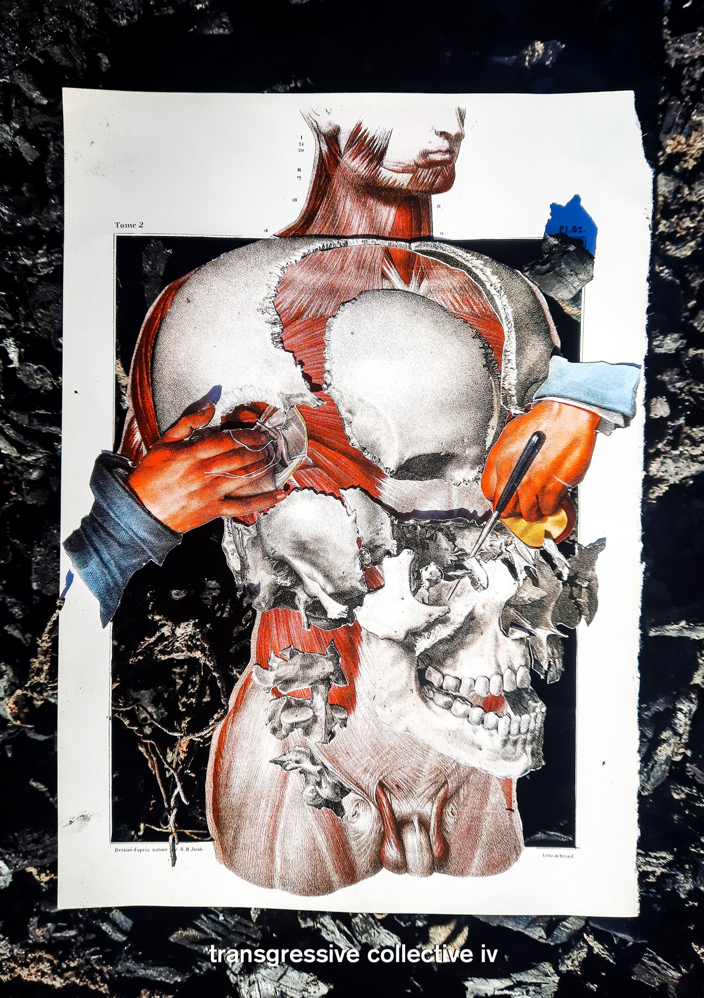V/A - Transgressive Collective IV CS