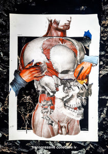 V/A - Transgressive Collective IV CS