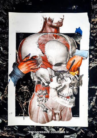 V/A - Transgressive Collective IV CS