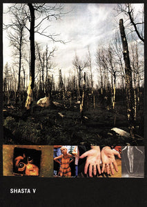 Phillip Best - Shasta V SIGNED POSTER